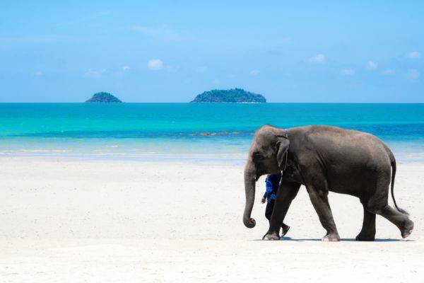 Top 5 des plus belles plages proches de Bangkok